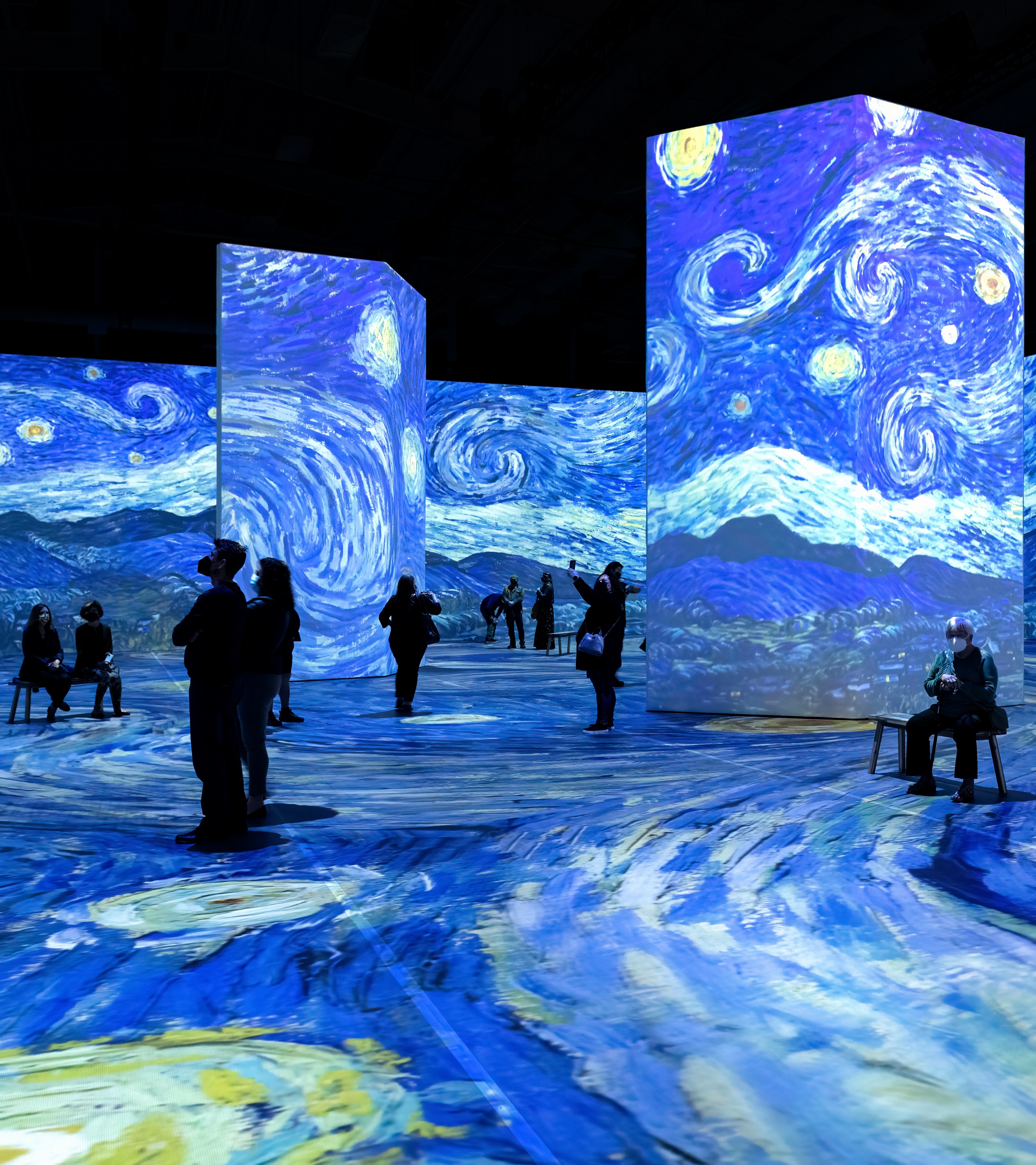 Beyond Van Gogh - San Diego - January 13, 2022