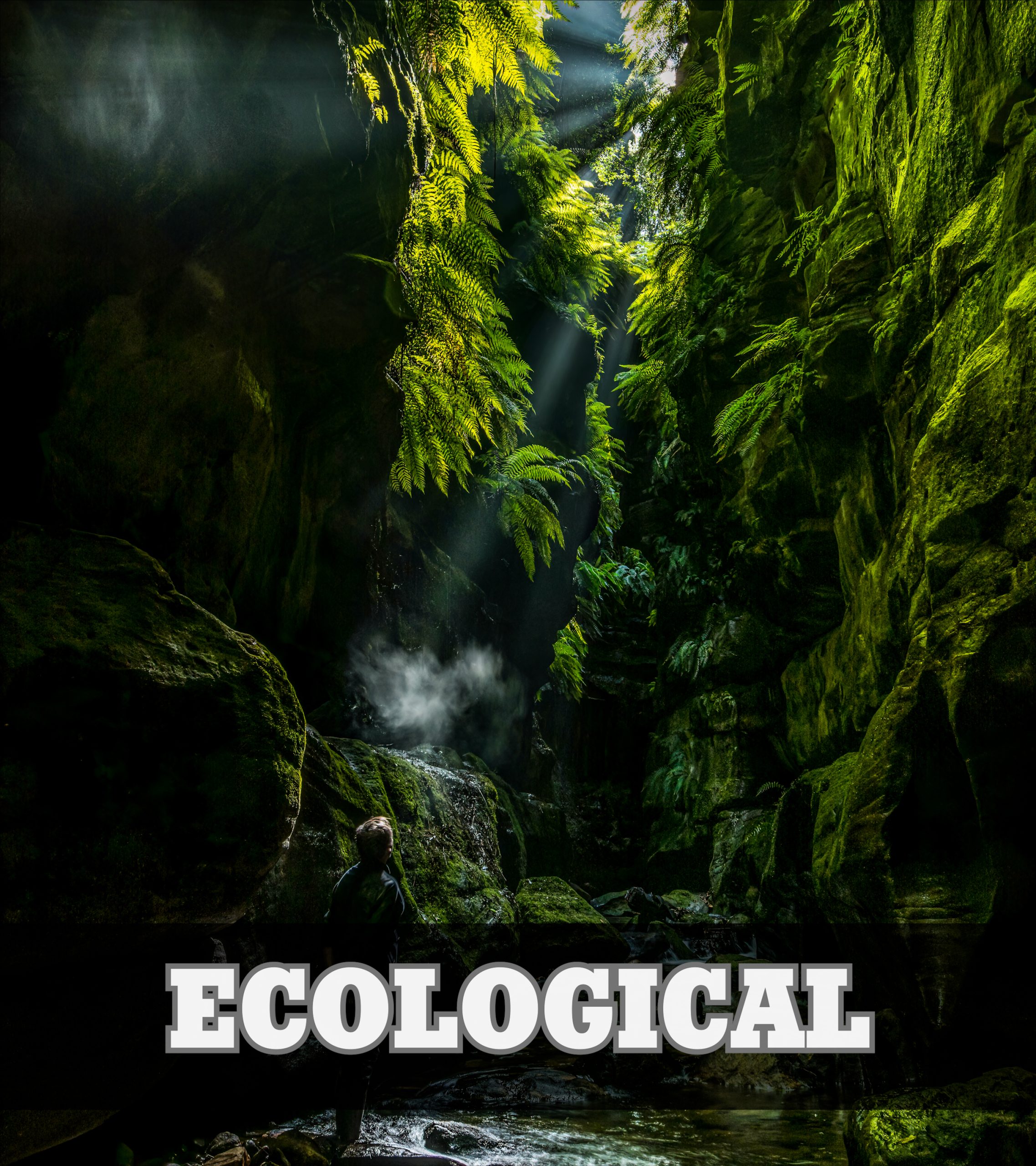 Ecological (5)